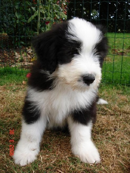 Best of des Dunes d'Omaha