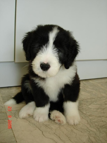 Bounty des Dunes d'Omaha