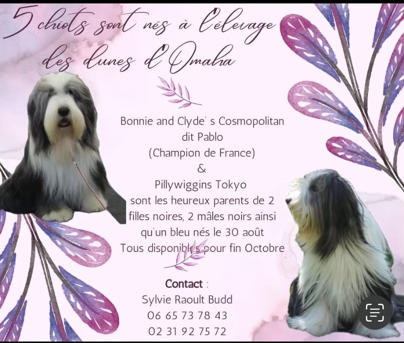 Naissance aux Dunes d'Omaha